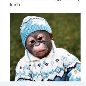 Meet your Posher, Manuel